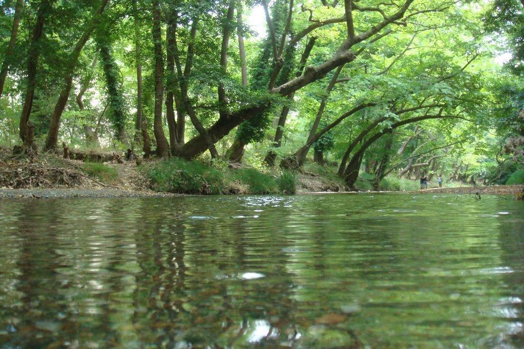 The Villa Averoff Kírinthos Oda fotoğraf