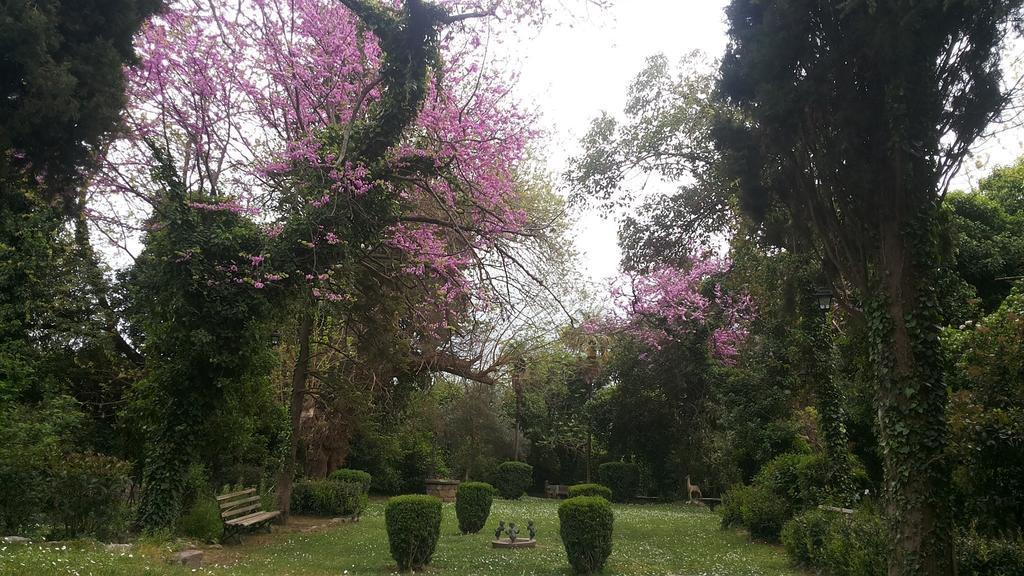 The Villa Averoff Kírinthos Oda fotoğraf