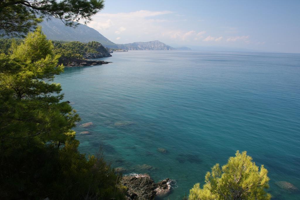 The Villa Averoff Kírinthos Oda fotoğraf